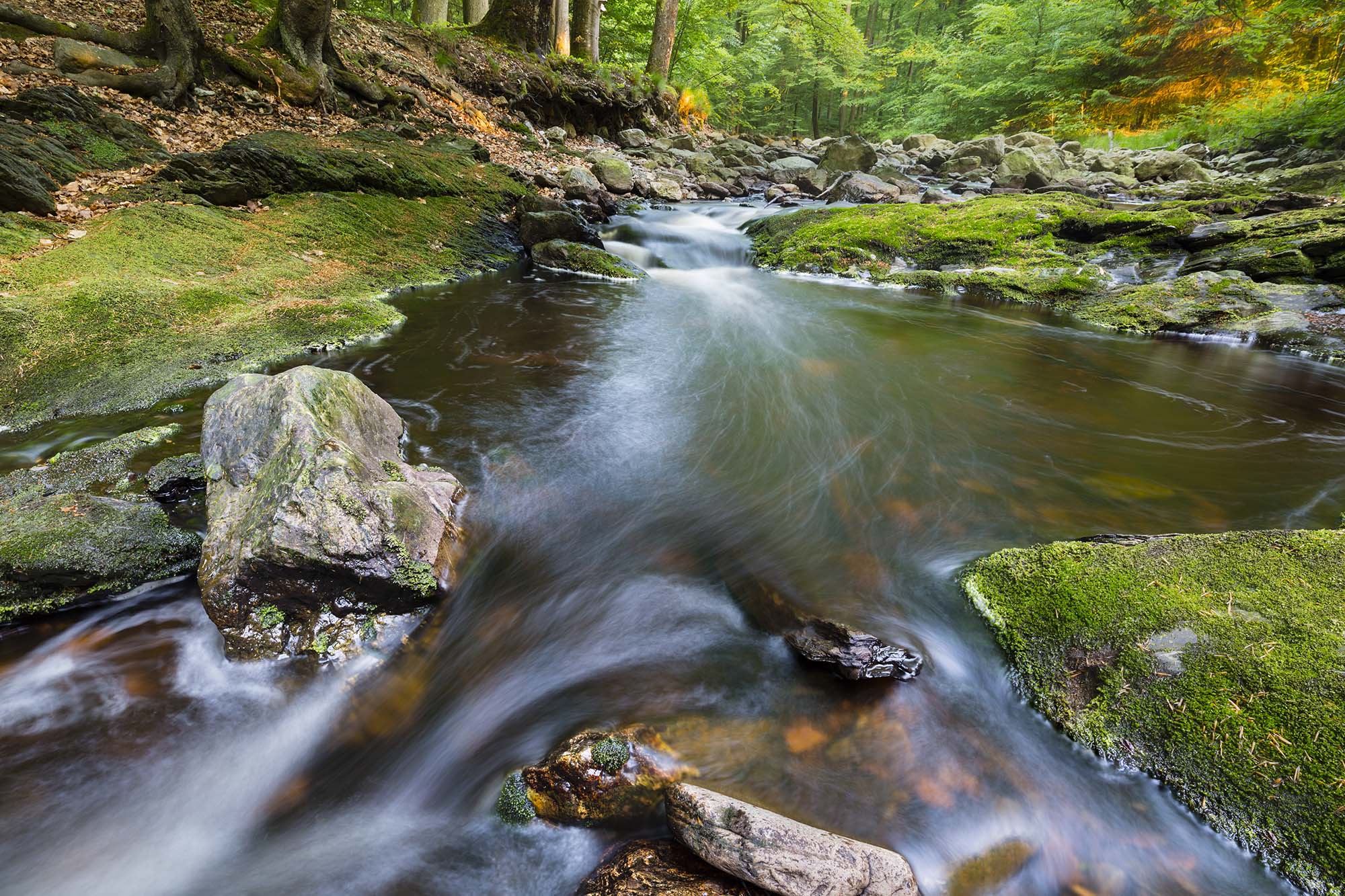 mountain stream