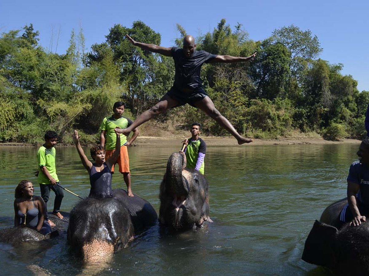 Elephant Ride