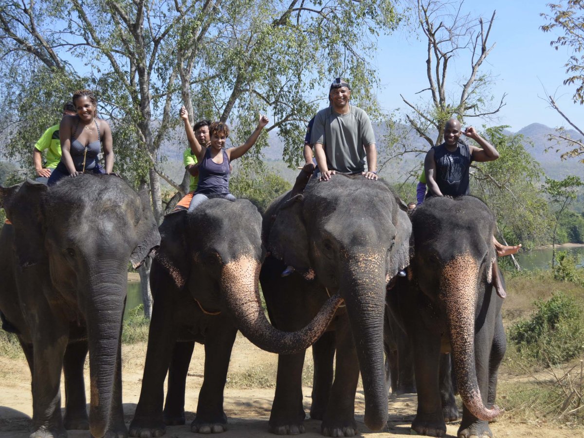 people riding elephants