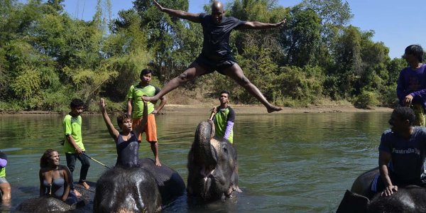 Elephant Ride