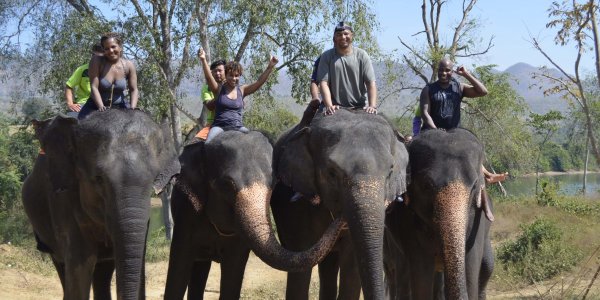 people riding elephants