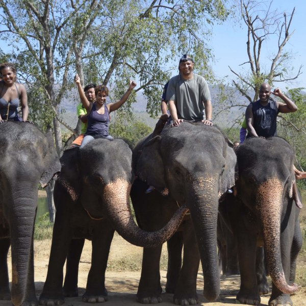 people riding elephants